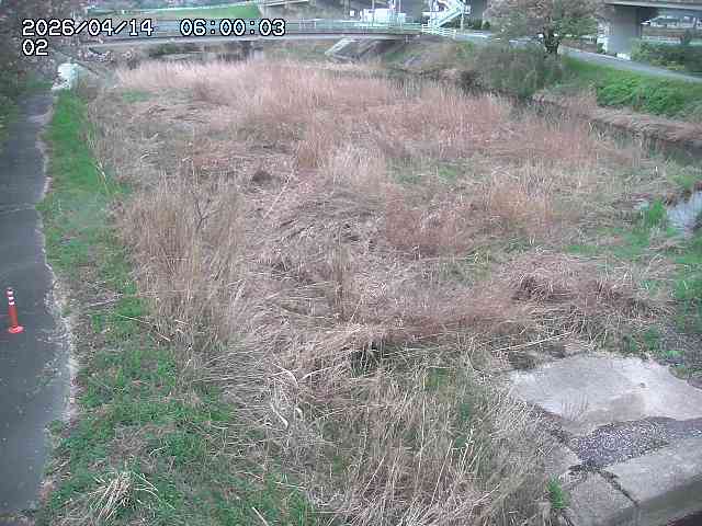 東郷川１2026/04/14 17:10:00