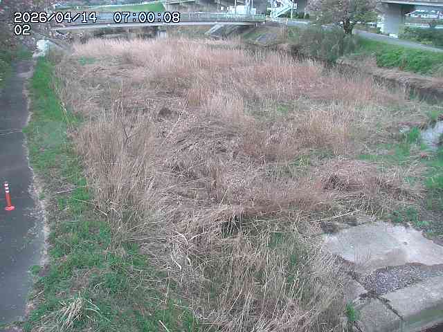 東郷川１2026/04/14 17:10:00