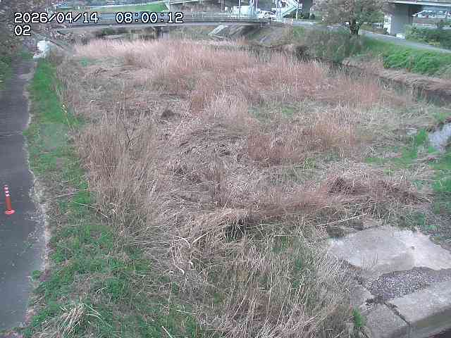 東郷川１2026/04/14 17:10:00