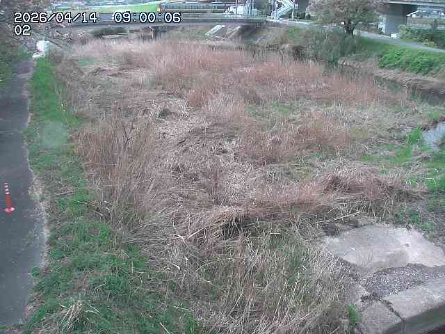 東郷川１2026/04/14 17:10:00