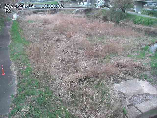 東郷川１2026/04/14 17:10:00