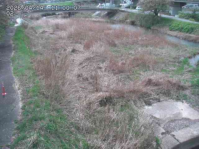 東郷川１2026/04/14 17:10:00