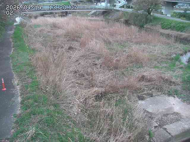 東郷川１2026/04/14 17:10:00