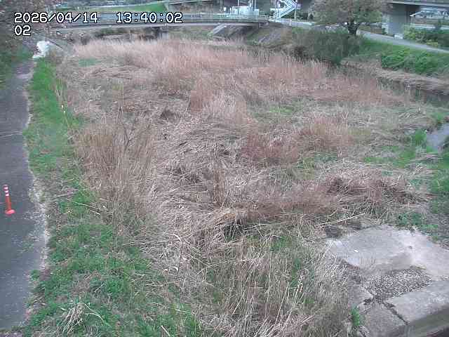 東郷川１2026/04/14 17:10:00