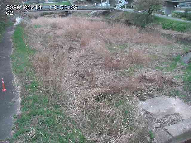 東郷川１2026/04/14 17:10:00