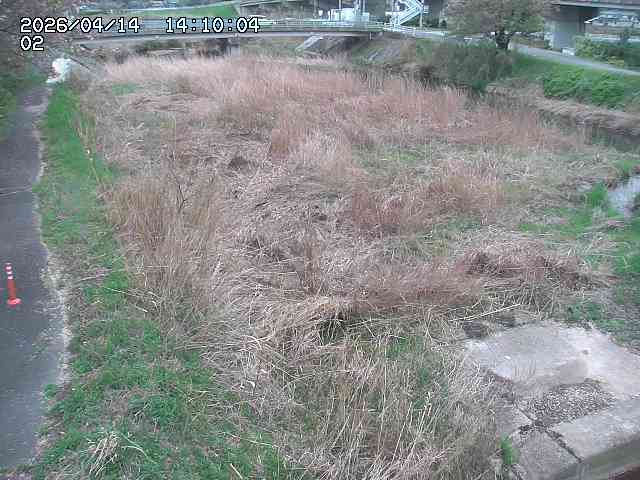 東郷川１2026/04/14 17:10:00