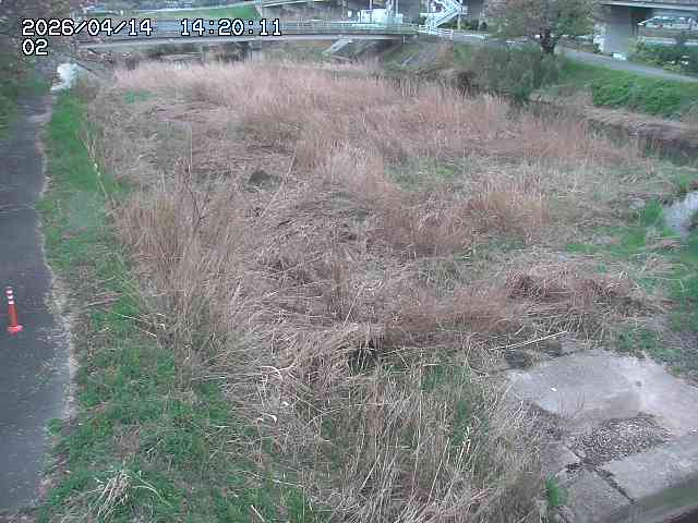 東郷川１2026/04/14 17:10:00