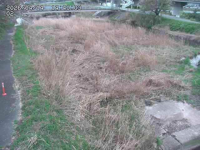 東郷川１2026/04/14 17:10:00