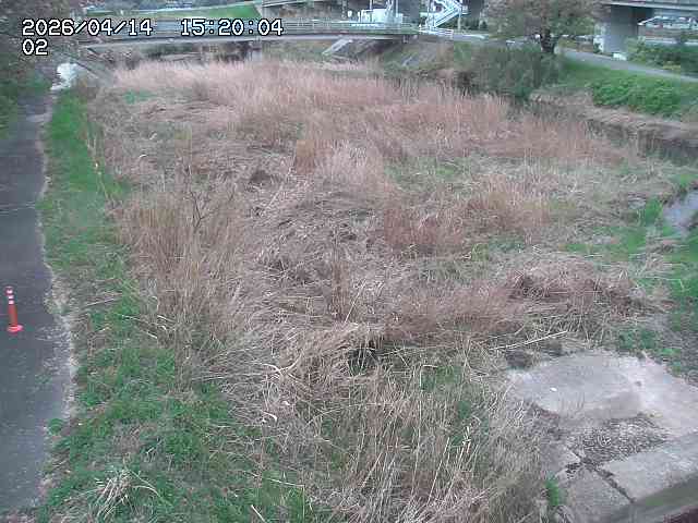 東郷川１2026/04/14 17:10:00