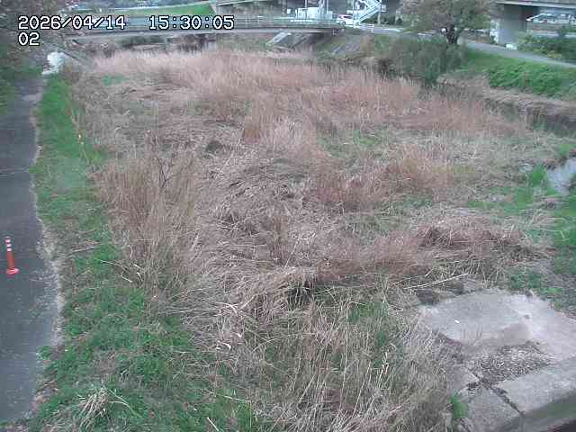 東郷川１2026/04/14 17:10:00