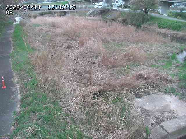 東郷川１2026/04/14 17:10:00