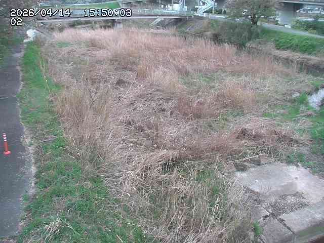 東郷川１2026/04/14 17:10:00