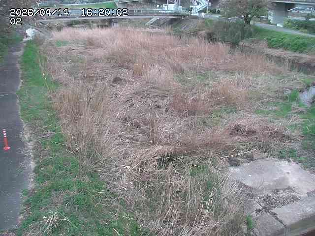 東郷川１2026/04/14 17:10:00