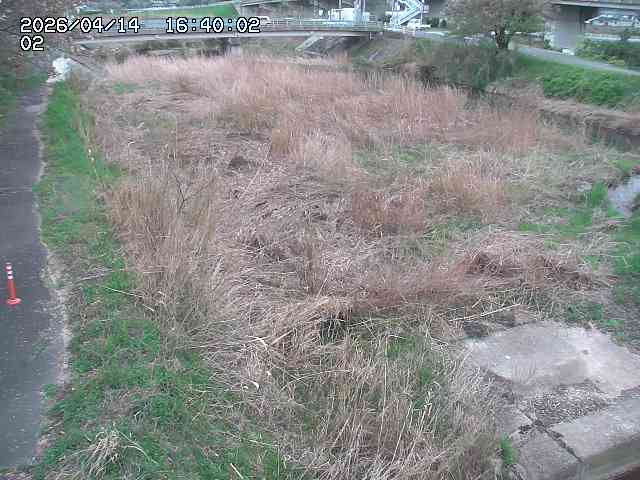 東郷川１2026/04/14 17:10:00