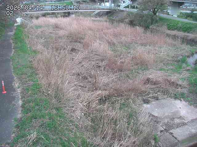 東郷川１2026/04/14 17:10:00