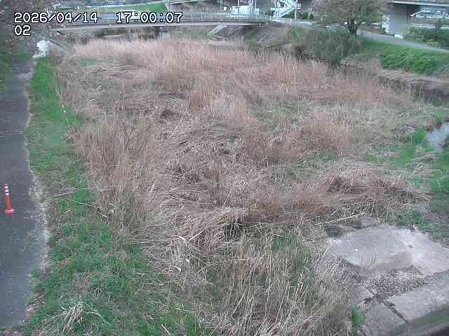 東郷川１2026/04/14 17:10:00