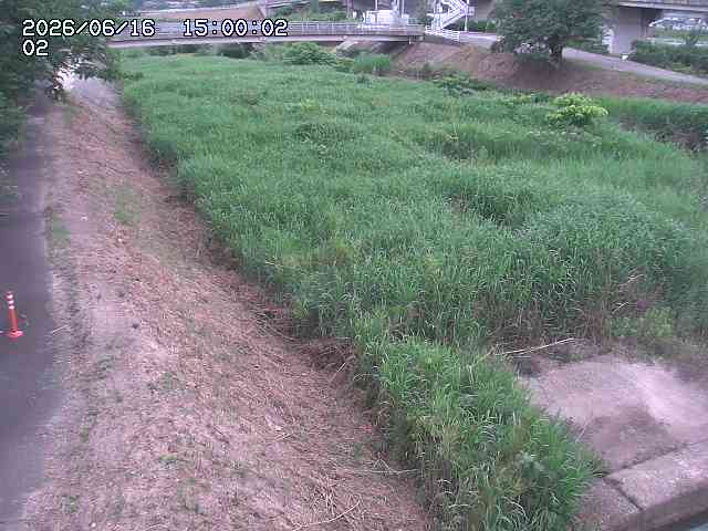 東郷川１2026/06/17 14:10:00