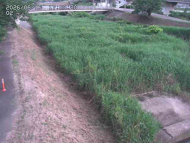 東郷川１2026/06/17 14:10:00