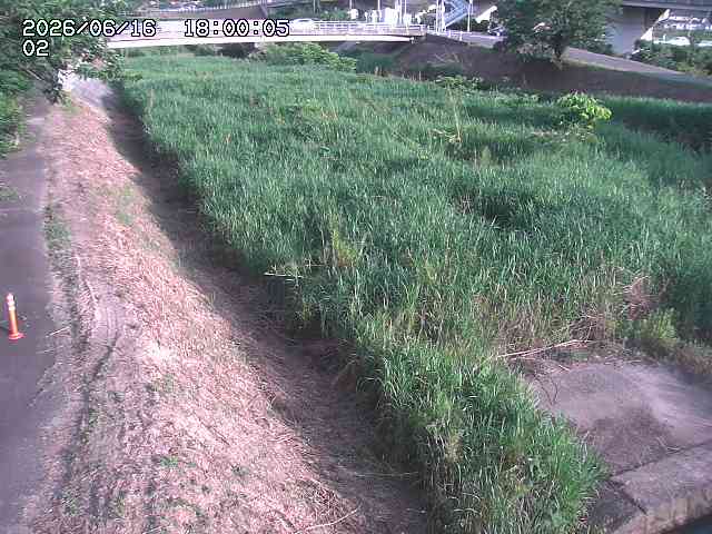 東郷川１2026/06/17 14:10:00
