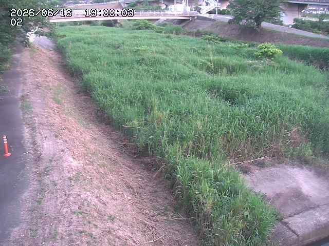 東郷川１2026/06/17 14:10:00