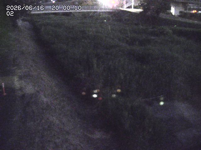 東郷川１2026/06/17 14:10:00