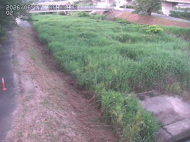 東郷川１2026/06/17 14:10:00