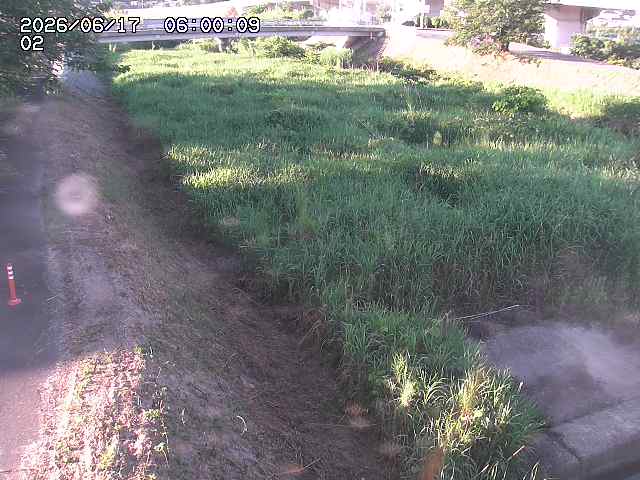 東郷川１2026/06/17 14:10:00
