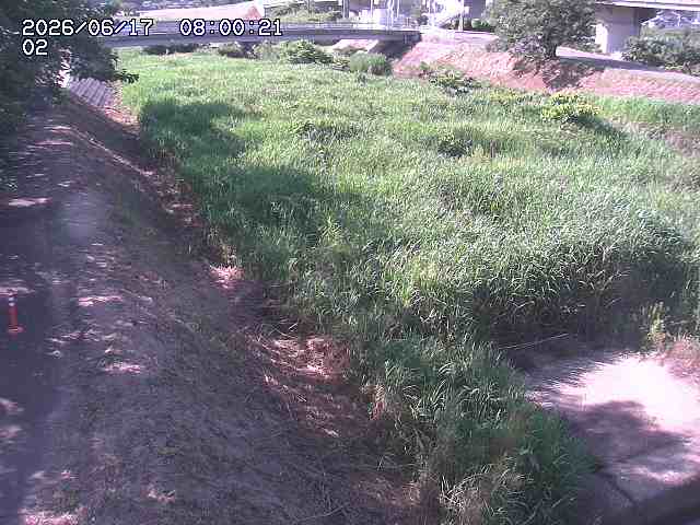 東郷川１2026/06/17 14:10:00