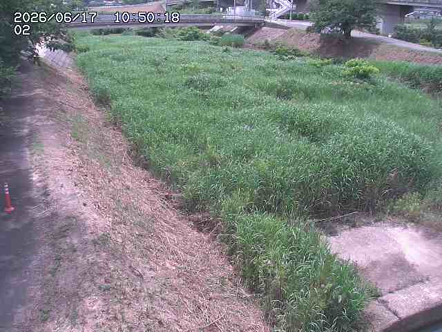 東郷川１2026/06/17 14:10:00