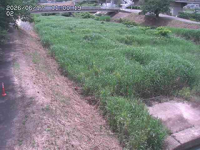 東郷川１2026/06/17 14:10:00
