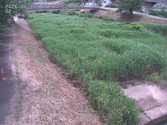 東郷川１2026/06/17 14:10:00