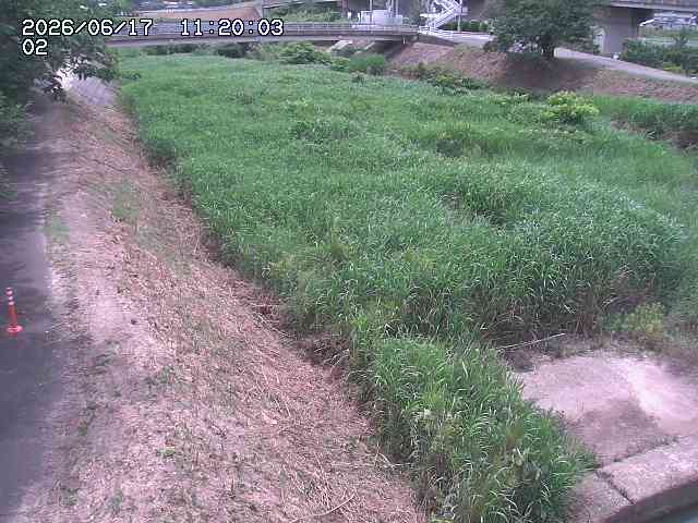 東郷川１2026/06/17 14:10:00