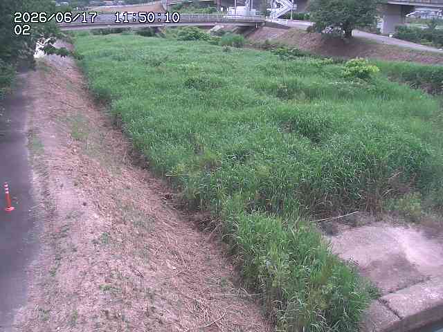東郷川１2026/06/17 14:10:00