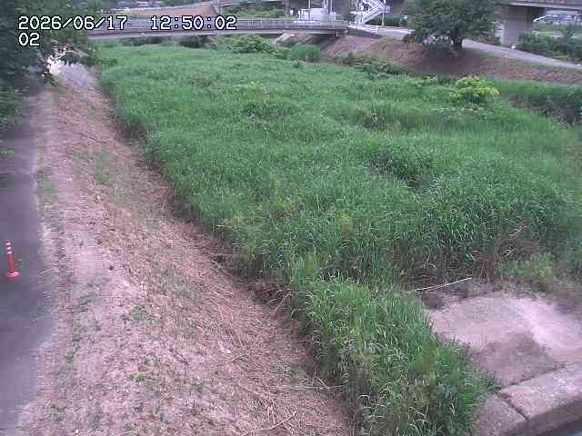 東郷川１2026/06/17 14:10:00