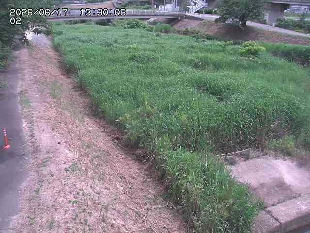 東郷川１2026/06/17 14:10:00