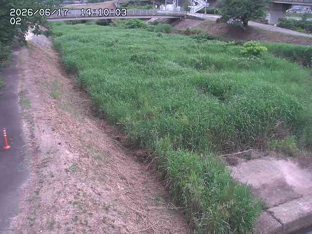 東郷川１2026/06/17 14:10:00