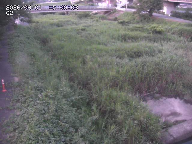 東郷川１2026/08/01 22:00:00