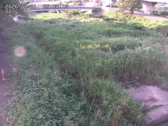 東郷川１2026/08/01 22:00:00