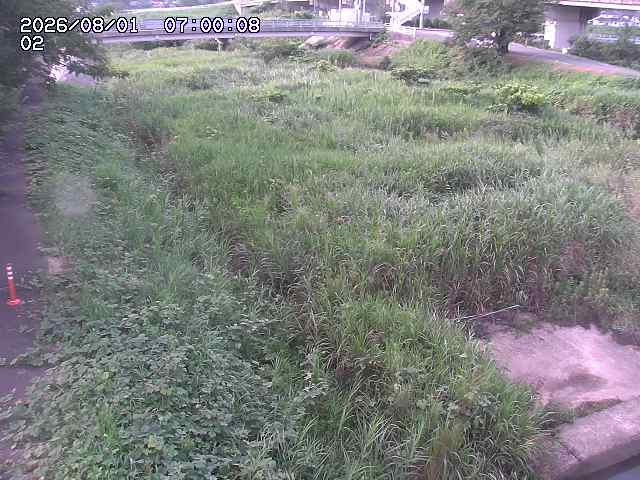 東郷川１2026/08/01 22:00:00