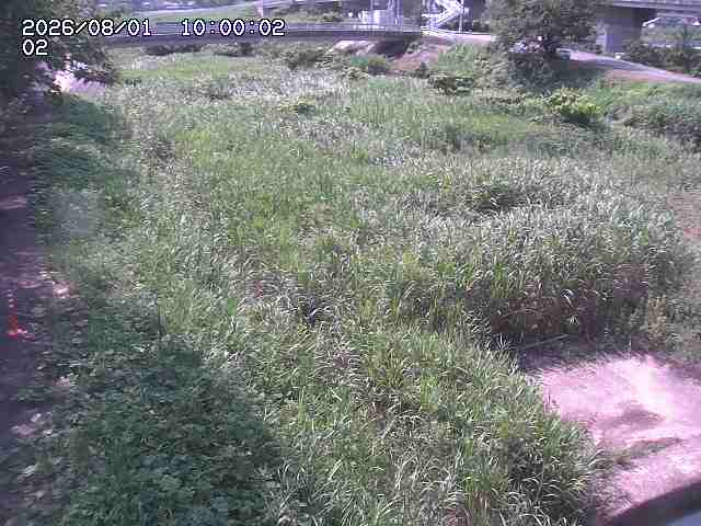 東郷川１2026/08/01 22:00:00