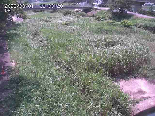 東郷川１2026/08/01 22:00:00
