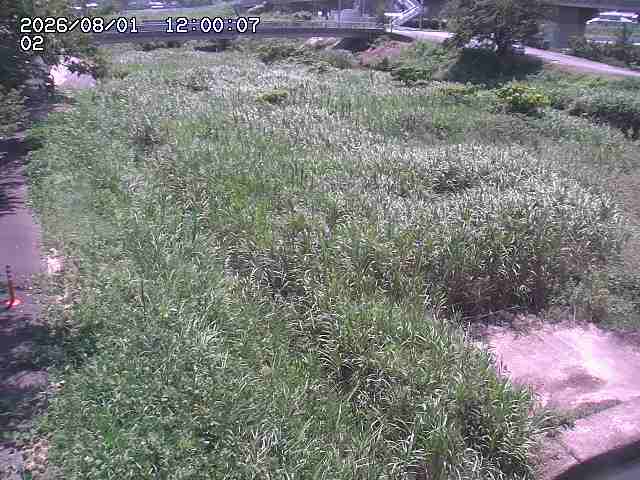 東郷川１2026/08/01 22:00:00