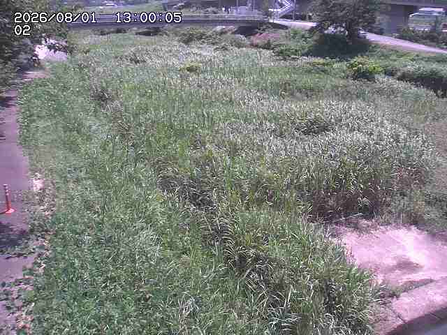 東郷川１2026/08/01 22:00:00