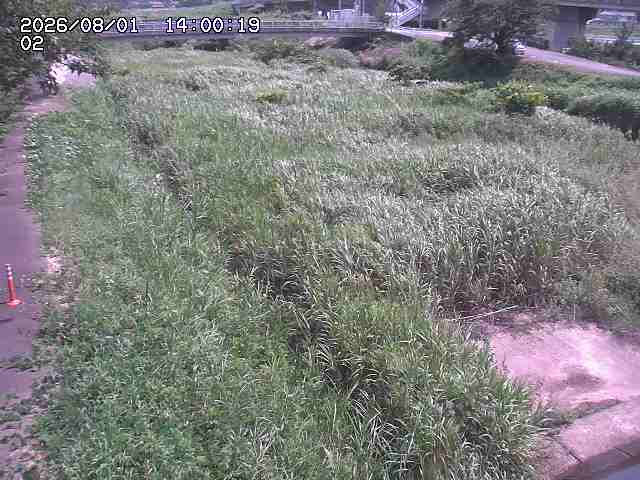 東郷川１2026/08/01 22:00:00