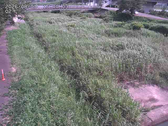 東郷川１2026/08/01 22:00:00