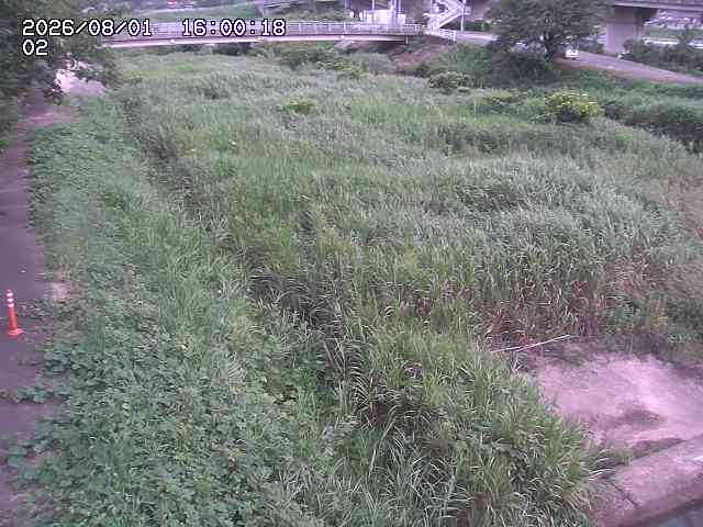 東郷川１2026/08/01 22:00:00