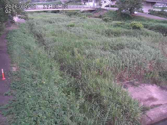 東郷川１2026/08/01 22:00:00