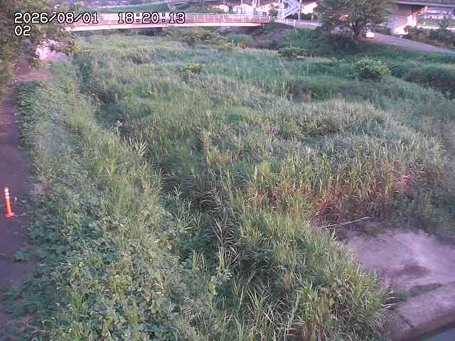 東郷川１2026/08/01 22:00:00
