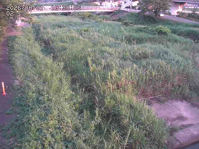 東郷川１2026/08/01 22:00:00