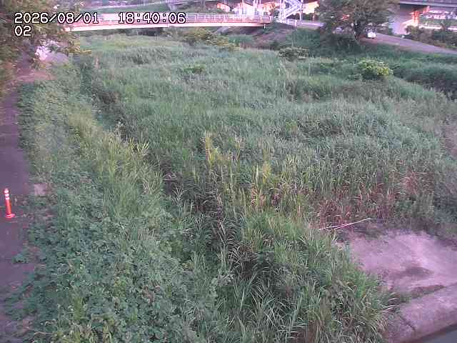 東郷川１2026/08/01 22:00:00